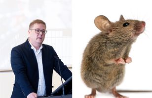 Fréttamynd